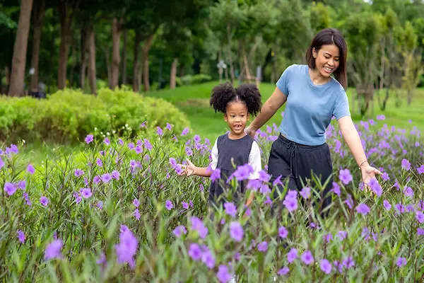 wellness tips for healthy routines